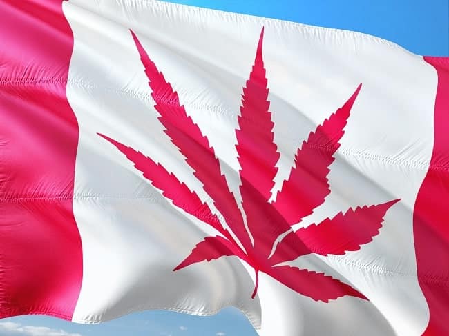 pays où le cannabis est légal - canada