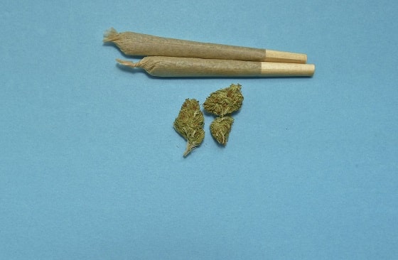 Le cannabis THC