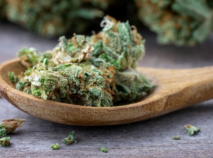 CBD cannabis flowers: how to choose them well?