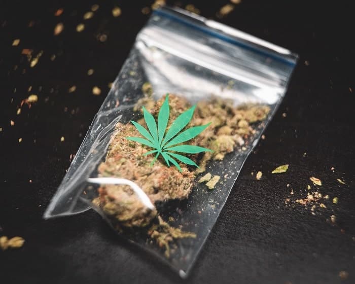 Bolso flores-cannabis
