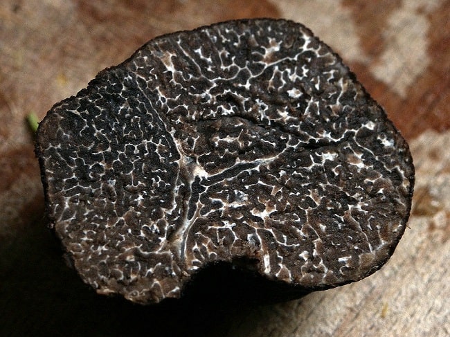 The black truffle could contain cannabinoids, or rather cannabimetics