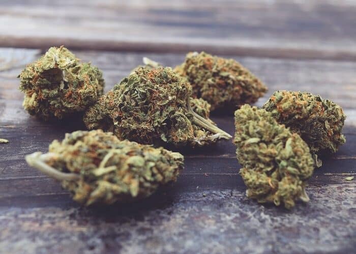 Cannabis y humedad: ¿Cómo almacenar correctamente las flores de CBD?