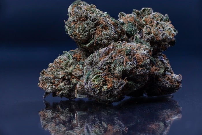 Unverarbeitete leichte Cannabisblüten enthalten CBG