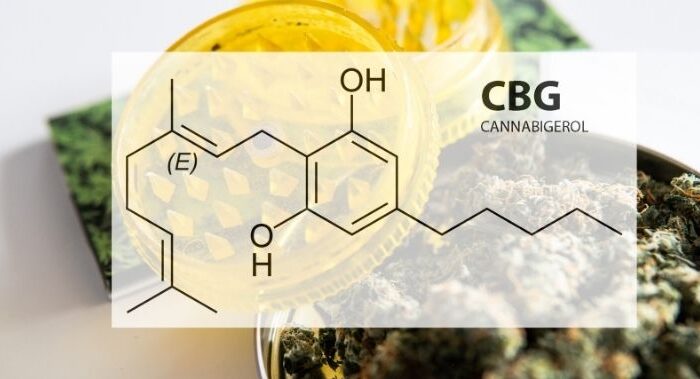 What is CBG (cannabigerol)? What is the difference with CBD?