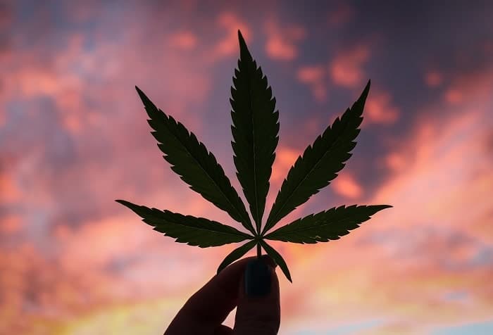 Bedeutung von 420: Cannabistag, 20. April