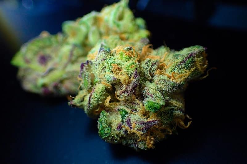 Violet, blanc, orange, vert : le cannabis de couleur est étonnant