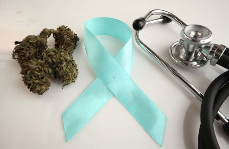 Effect of cannabis CBD and cancer
