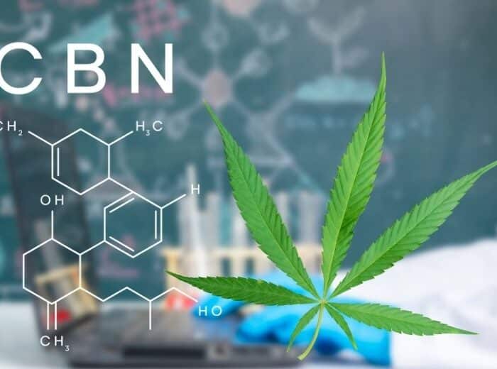 ¿Qué es el CBN (cannabinol)?