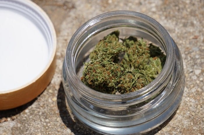 Obwohl legal, dürfen CBD-Cannabisblüten nicht geraucht werden
