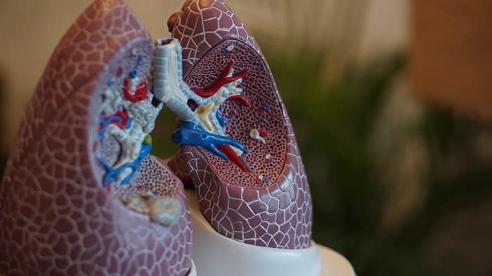 asthme inflammation des poumons min